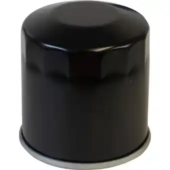Princess Auto Utv oil filters kawasaki offer