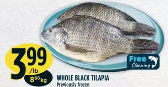 Marché Adonis Whole black tilapia offer