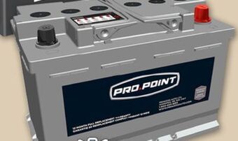 Princess Auto Automotive batteries offer