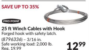 Princess Auto 25 ft winch cables with hook offer
