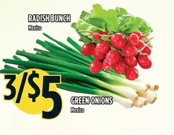 Marché Adonis Radish bunch | green onions offer