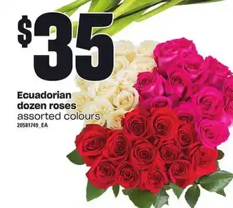 Loblaws Ecuadorian dozen roses offer