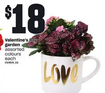 Loblaws Valentine's day garden offer