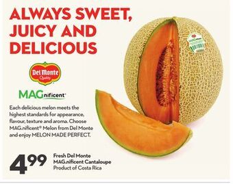 Longo's Fresh del monte mag nifi cent cantaloupe offer