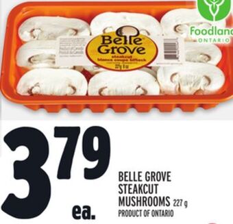 Metro Belle grove steakcut mushrooms offer