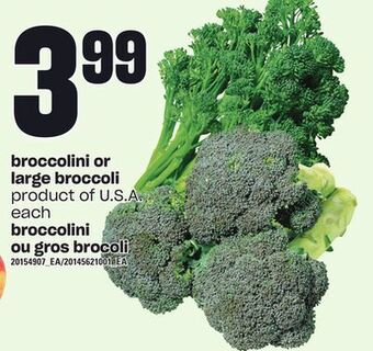 Independent Grocer Broccolini or large broccoli offer