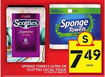 Food Basics Sponge towels ultra or scotties facial tissue offer