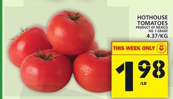 Food Basics Hothouse tomatoes offer