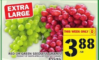 Food Basics Red or green seedless grapes offer