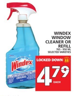 Food Basics Windex window cleaner or refill offer