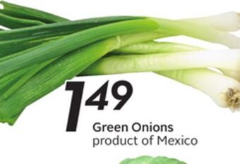 Sobeys Green onions offer