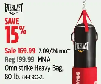Canadian Tire Everlast mma omnistrike heavy bag, 80-lb offer