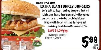 Farm Boy Hayter's farm extra lean turkey burgers offer