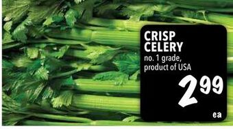 Farm Boy Crisp celery offer