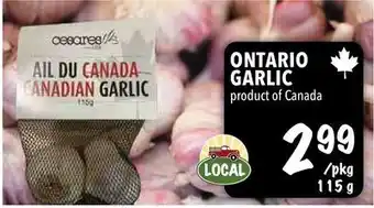 Farm Boy Ontario garlic offer