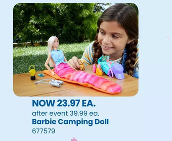 Toys R us Barbie doll and accessories, it takes two "brooklyn" camping doll and 10+ pieces offer