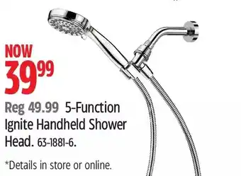 Canadian Tire 5-function lgnite handheld shower head offer