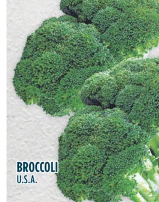 Marché Adonis Broccoli offer