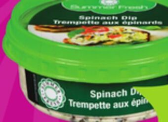 Giant Tiger Summer fresh dip offer
