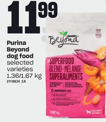 Zehrs Markets Purina beyond dog food, 1.36/1.67 kg offer