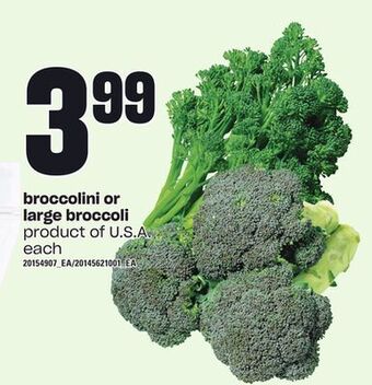 Zehrs Markets Broccolini or large broccoli offer