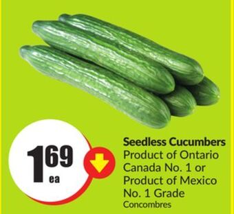 Chalo FreshCo Seedless cucumbers product of ontario canada no. 1 or product of mexico no. 1 grade offer