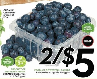 Sobeys Organic Blueberries offer