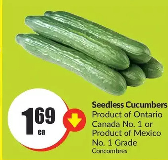 FreshCo Seedless cucumbers offer