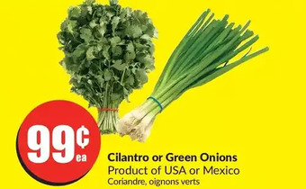 FreshCo Cilantro or green onions offer