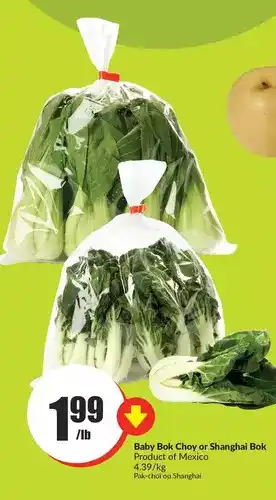 FreshCo Baby bok choy or shanghai bok offer