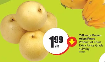 FreshCo Yellow or brown asian pears offer