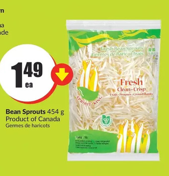 FreshCo Bean sprouts offer