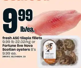 Loblaws Fresh asc tilapia fillets or fortune live nova scotian oysters offer