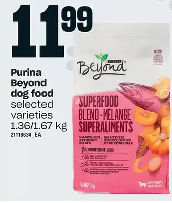 Loblaws Purina beyond dog food offer