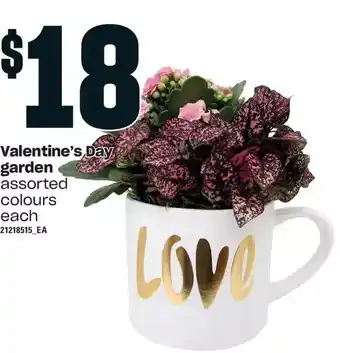 Loblaws Valentine's garden offer