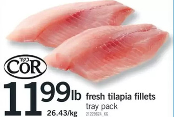 Fortinos Fresh tilapia fillets offer