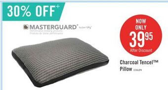 The Brick Masterguard® charcoal tencel™ pillow offer