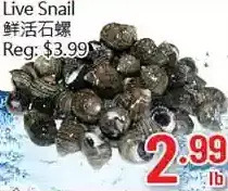 Hong Tai Supermarket Live snail offer