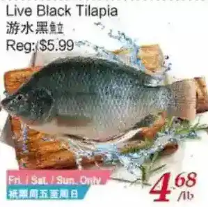 Tone Tai Supermarket Live black tilapia offer
