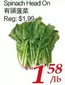 Tone Tai Supermarket Spinach head on offer