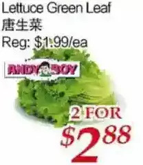 Tone Tai Supermarket Lettuce green leaf offer