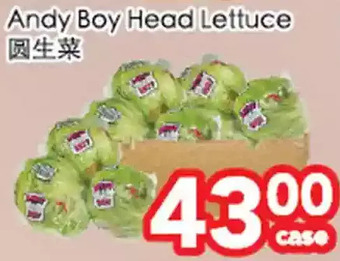 Superking Supermarket Andy boy head lettuce offer