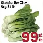 Top Food Supermarket Shanghai bok choy offer