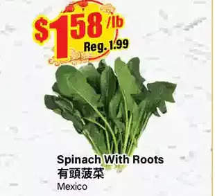 Btrust Supermarket Spinach with roots offer