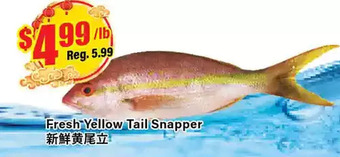 Btrust Supermarket Fresh yellow tail snapper offer