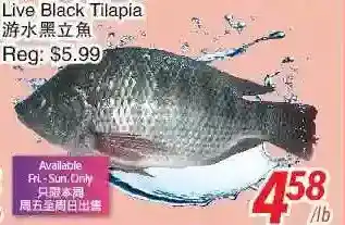 Foody World Live black tilapia offer