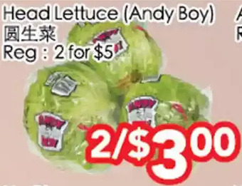 Superking Supermarket Head lettuce offer