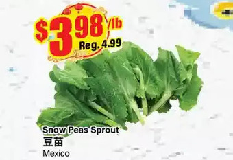 Btrust Supermarket Snow peas sprout offer