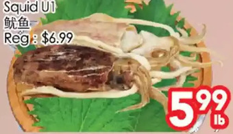 Superking Supermarket Squid u1 offer