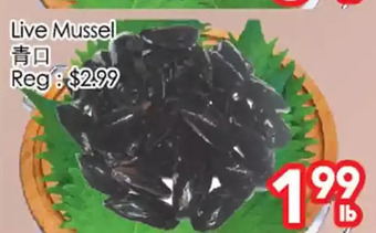 Superking Supermarket Live mussel offer
